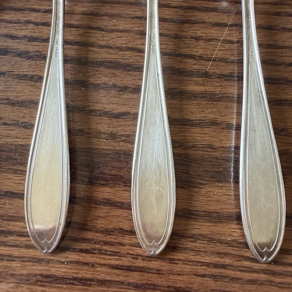 Vtg Oneida Community Bridal Wreath Silver Plate Tablespoon Serving Spoon‎ (5)